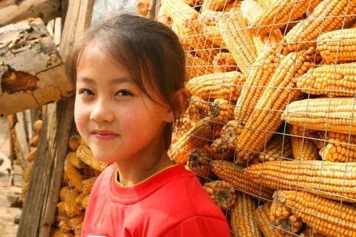 马老师劈瓜,匠心独运，传承农耕文化