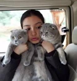 中国明星养的宠物图片,跟随镜头捕捉中国明星家的可爱瞬间