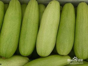 阴虚可以吃白瓜吗,润燥养阴助健康