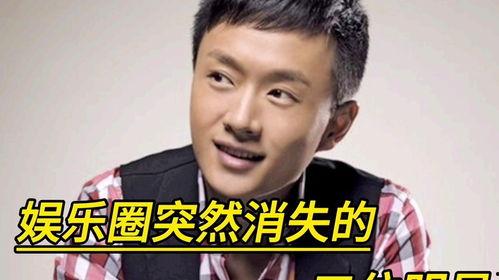 娱乐圈失踪的明星,探寻失踪背后的真相