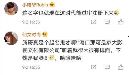 明星给公司起名,公司命名新篇章