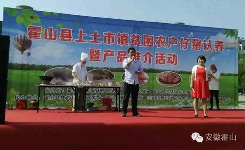 夏邑县烟田新闻头条,绿色产业助力乡村振兴