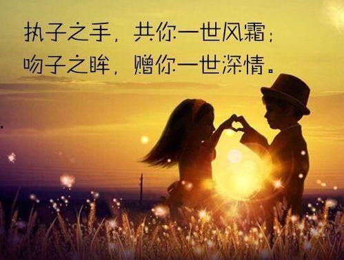 水瓶天蝎明星夫妇,神秘魅力与爱情火花