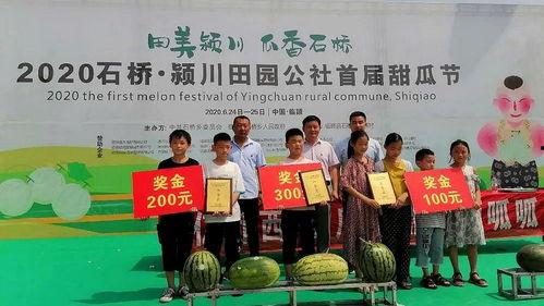 惠民吃瓜比赛报道稿,全民共享夏日清凉时光