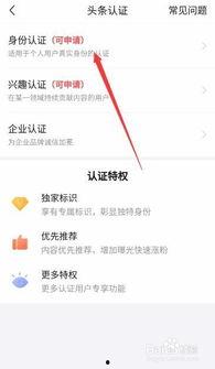 头条作者身份认证怎么办,开启自媒体新篇章