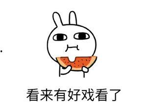 专注吃瓜的大哥,揭秘专注吃瓜的大哥背后的故事