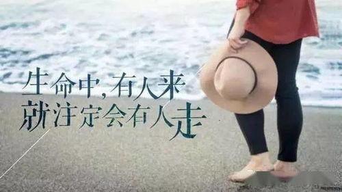 眼泪网红句子,网红句子中的情感共鸣