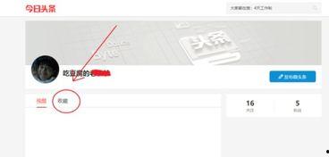 头条里怎么找到我的收藏,轻松找到你的收藏内容