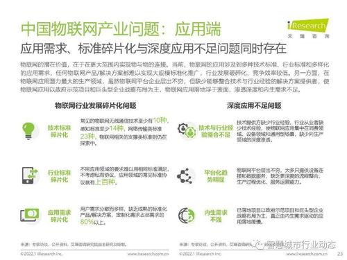 牛红丽参考网,网络时代的创新者与引领者