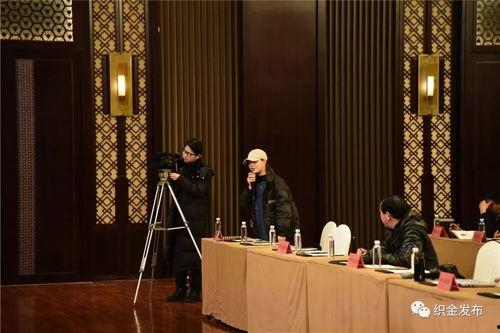 毕节市织金新闻头条,聚焦织金发展新动态，共绘乡村振兴新画卷