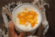 网红奶茶店红枣在哪里,网红奶茶店红枣在哪里探寻甜蜜之旅