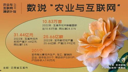 玉溪头条新农人,玉溪头条聚焦乡村振兴新力量