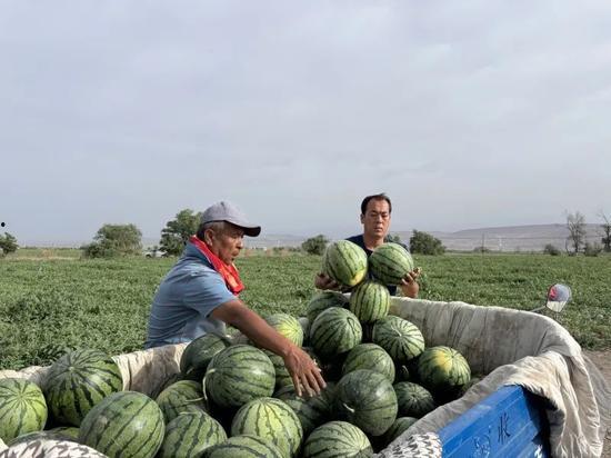 东区市场吃瓜事件,揭秘背后真相与网络热议