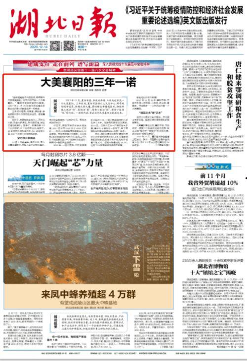 最近襄阳头条,聚焦本土新鲜事，解码城市脉搏