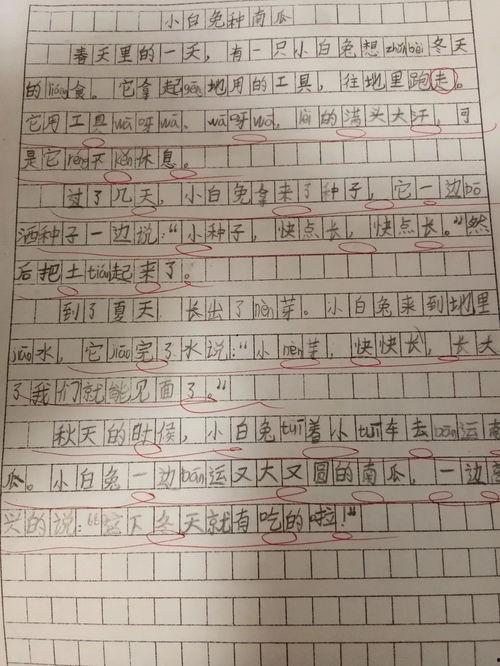 吃瓜比赛活动作文,吃瓜比赛欢乐盛宴
