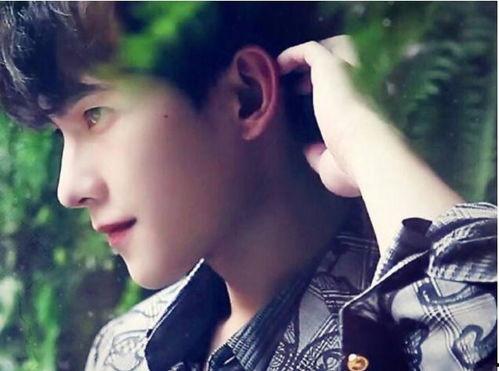 近期小鲜肉明星,盘点近期崛起的小鲜肉明星风采