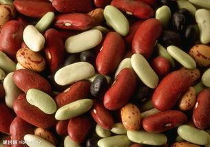 网红五彩豆,网红美食新宠，缤纷色彩中的味蕾盛宴