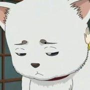 阿瓜老师图片头像高清,高清头像下的智慧风采