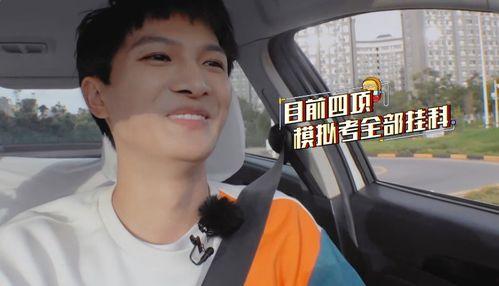 明星学车,闪耀星途新起点，驾驶技能助力梦想启航