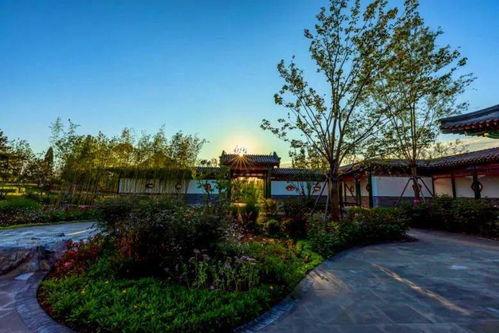 新兴湖畔花苑网红打卡,网红打卡新地标，诗意生活画卷展”