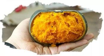 蒸熟的栗子瓜咋吃